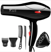 Professional Hair Dryer 2200 Watt AC Motor  Blow Dryer