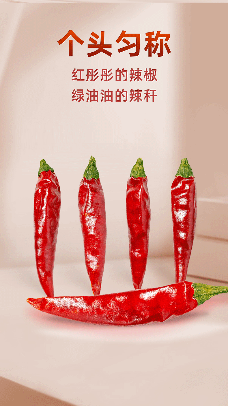 安享好物 安享S级干辣椒-桂味王七星椒干辣椒  