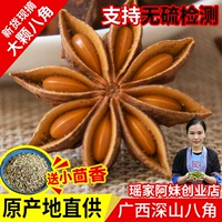 Место происхождения: Гуанси, большой красный звездчатый анис, анис, анис, новый продукт, продается отдельно, приправы с заливом корицы, специи, оптовая продажа для дома