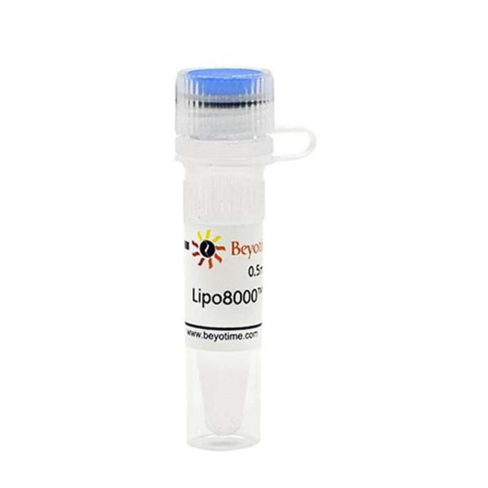 Lipo8000?转染试剂 货号C0533-0.5ml Beyotime/碧云天