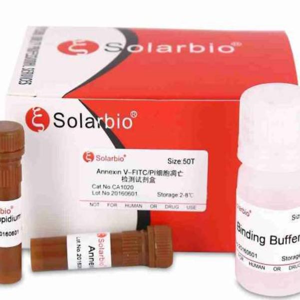 PAGE凝胶银染试剂盒 Solarbio/索莱宝 货号G7210-1L 现货包邮