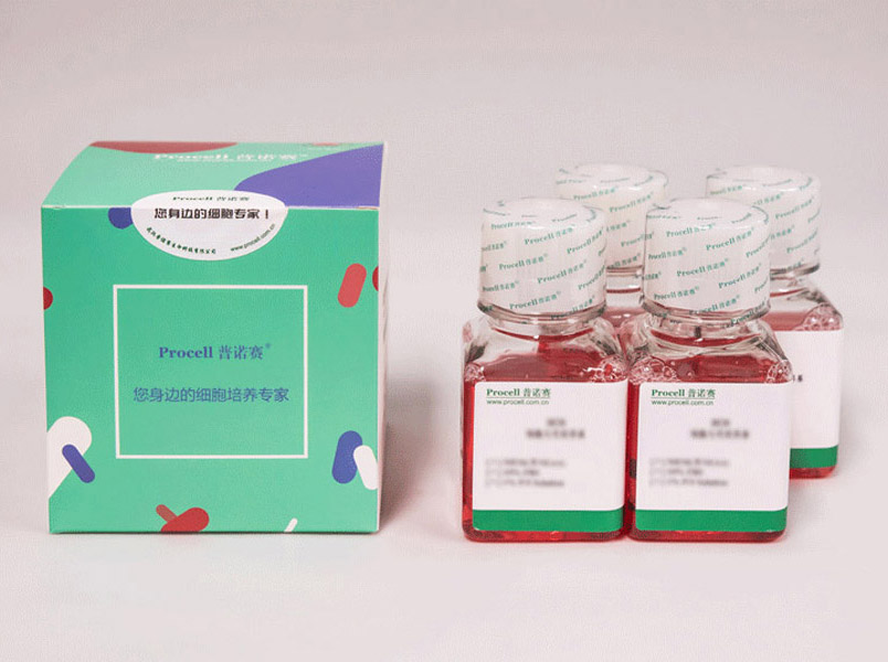 大鼠嗅上皮细胞完全培养基 货号CM-R192-500 Procell/普诺赛
