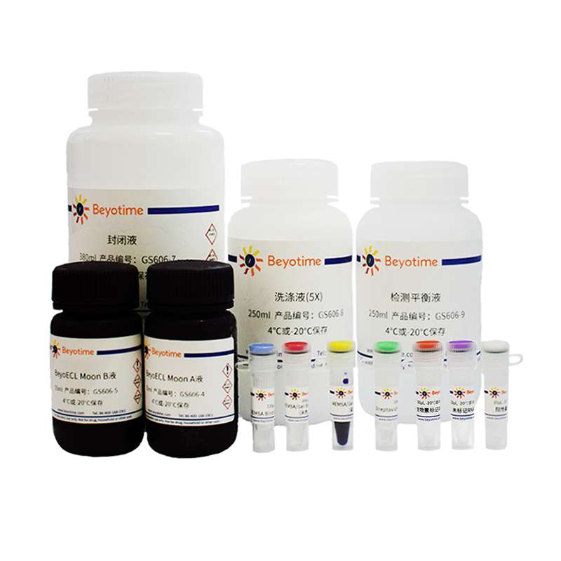 化学发光法RNA EMSA试剂盒 货号GS606 Beyotime/碧云天