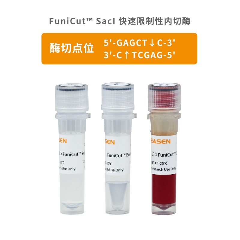 FuniCut? SacI限制性内切酶 货号15023ES60 翌圣