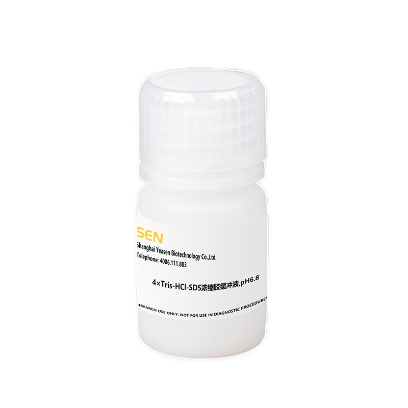 4&times;Tris-HCl-SDS浓缩胶缓冲液 货号20322ES76 Yeasen/翌圣生物