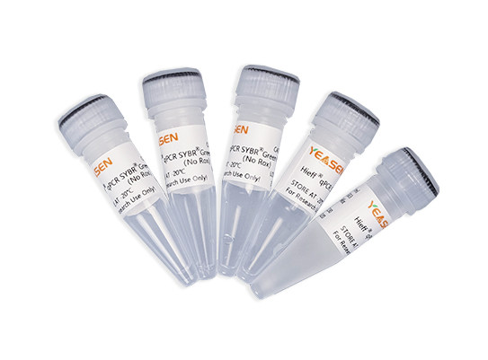 2&times;实时定量PCR扩增预混液 货号11201ES08 翌圣生物 5&times;1 ml