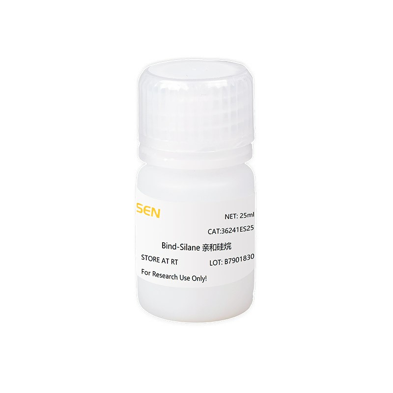 Bind-Silane 亲和硅烷 货号36241ES25 Yeasen/翌圣生物
