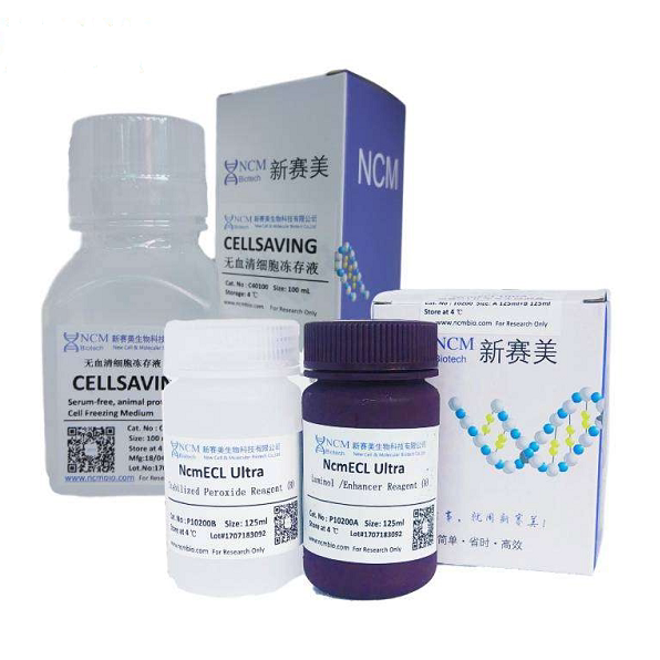 蛋白酶和磷酸酶抑制剂混合液 货号P002 NCM/新赛美