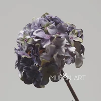 Purple Purple】 ретро -гидрангея