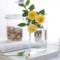 ins Nordic small hole English glass vase hydroponic vase flower home decoration flower arrangement ornaments