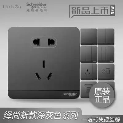 Schneider switch socket dark gray five-hole one open Double Switch USB single control double cut 16A switch socket