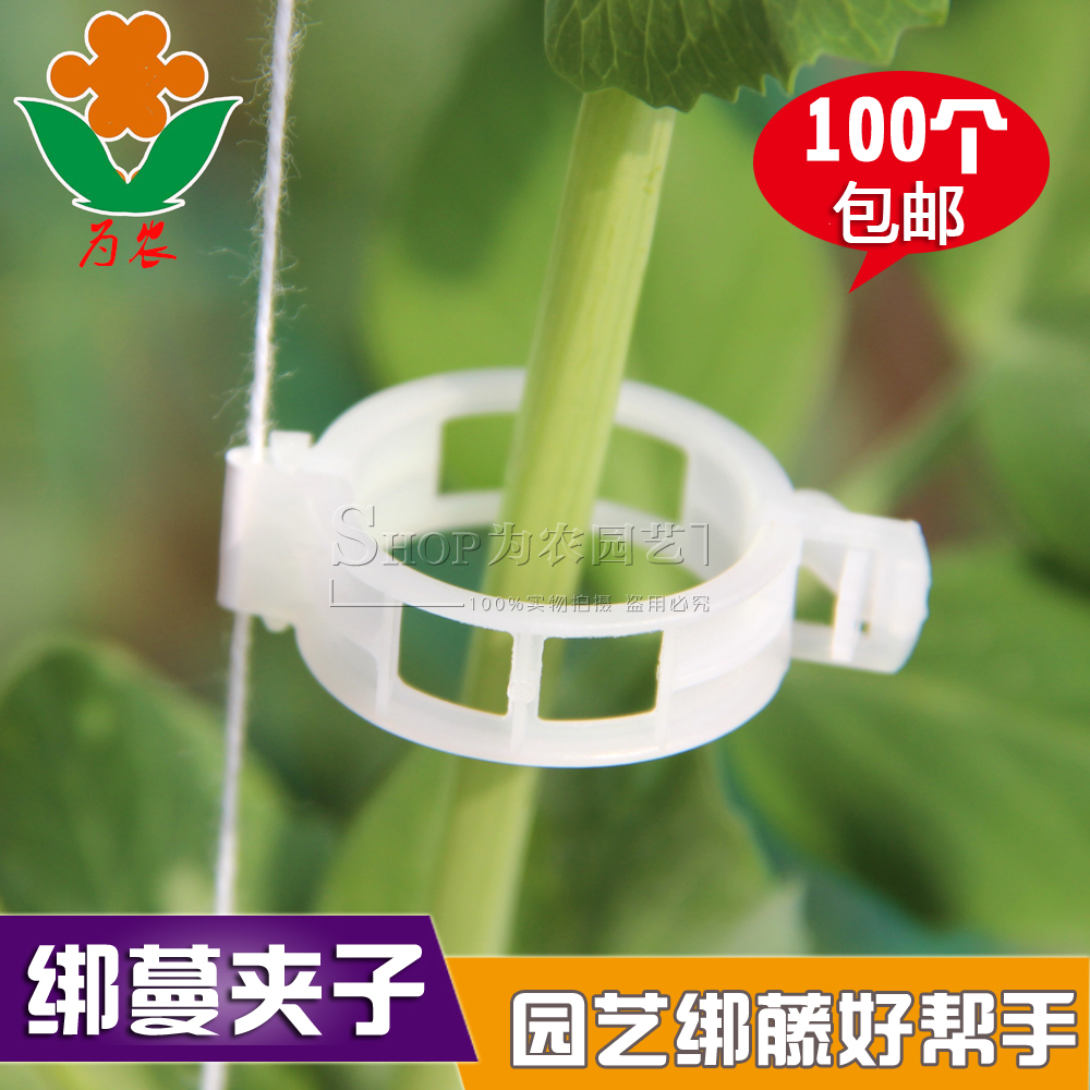 Hanger Plant Hanger for Hanging Seedlings TOMATO BUCKLE PLANT CLIP PLASTIC TIE-WIRE CLAMP