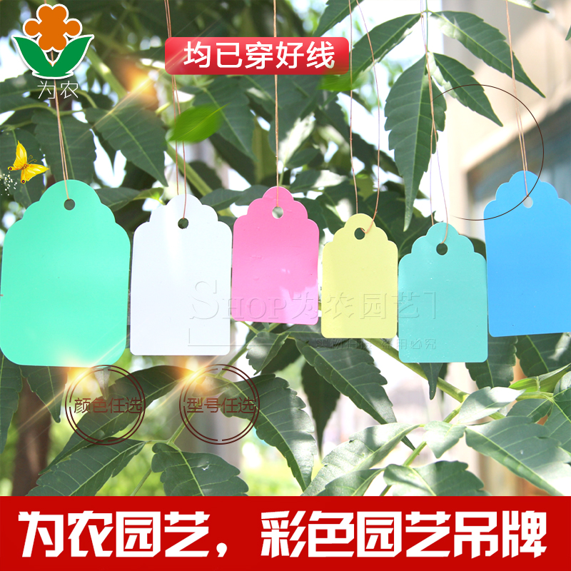PVC Waterproof Labels Gardening Labels Flower Tags Hang Tags Plastic Tags Hang Tags Plant Tags Hang Tags