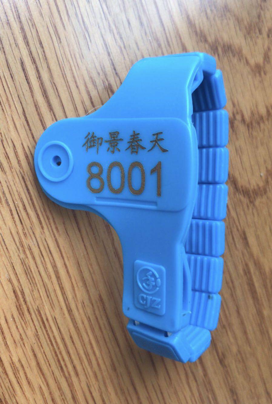 CJZ-P03: foot bathroom swimming pool washing baths sauna lock key hand hand salaman with hand ring number plate