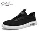 Satchi Men's Cloth Shoes 2025 New Autumn Thin Mesh Shoes Men's Trendy Versatile Casual Shoes