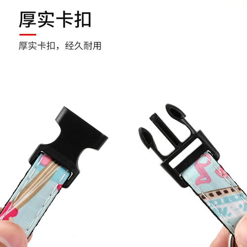 哒哒熊 Дроянка собаки, собачья веревка для собак.