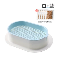 Нет гидропонового и синего почвы [дайте 5 пакетов семян]