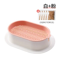 Нет гидравлического белого порошка почвы [дают 5 упаковок семян]