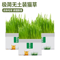 3 упаковки/салосная органическая кошачья трава [натуральный Мао Мао помогает волос с мячом]