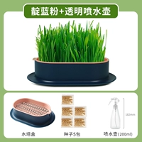 Гидропоновый гидропонный белый синий+спрей -чайник 【Дайте 5 пакетов семян】