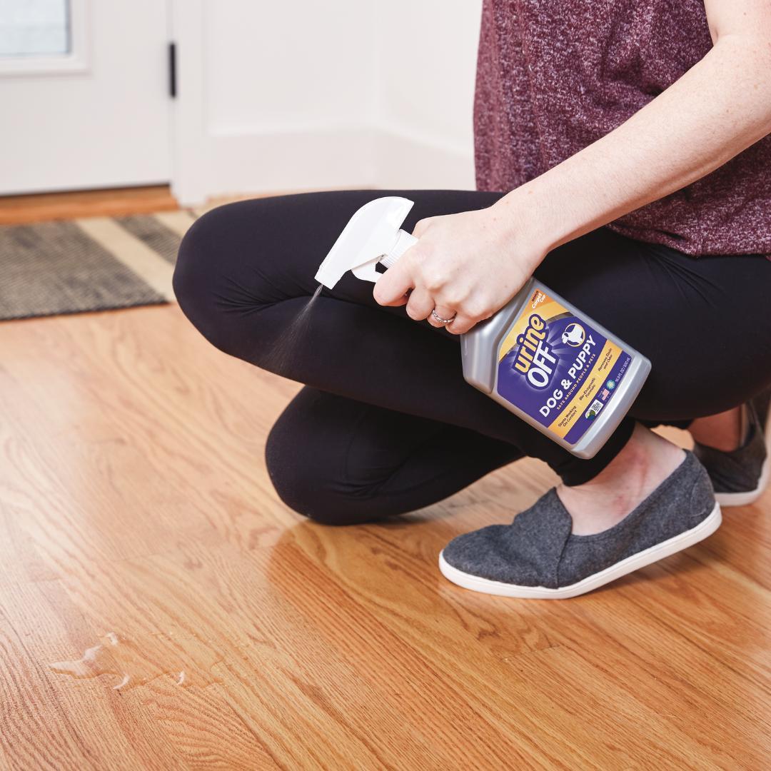 Urine off pet cat solution urea in addition to urine smell floor deodorization indoor disinfection to urine spray