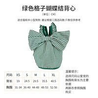 Зеленый цветной жилет с бантиком