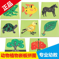 1-3-6 years old Montessori early education educational toys Childrens animal and plant puzzles baby wooden panel hand grab board teaching aids