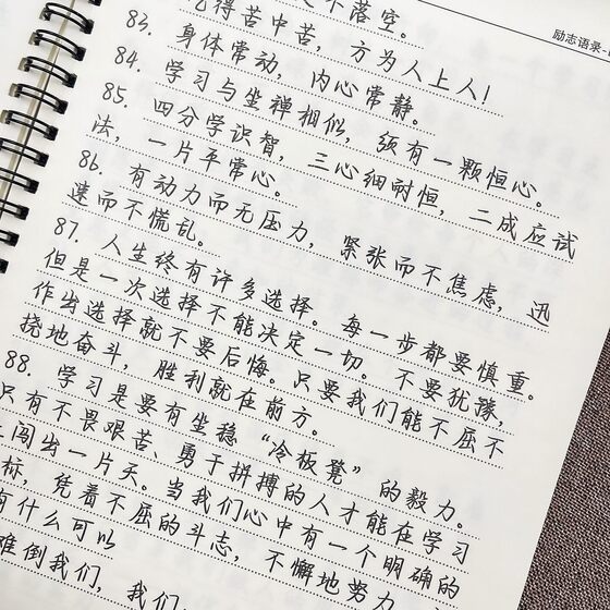 Calligraphy Practice Book for High School Students: Writing Materials, Quotes from People's Daily, and Copybook for Practicing Golden Phrases and Text Samples