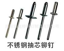 304 stainless steel pumping core rivet Lyudin stud large hat edge along the Tiaoyutai