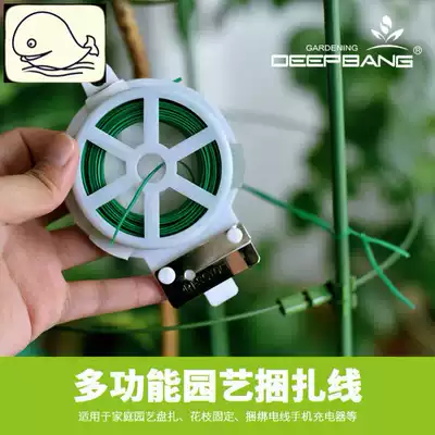 Fleshy cliff pile fixed iron wire fine wire floral tie tie tie plastic rope tie flower plant rope Rose Rose