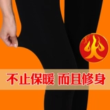 炫芝 Зимние утепленные леггинсы, бархатные удерживающие тепло штаны, 700 грамм, большой размер, высокая талия