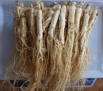 Raw sun ginseng Changbai ginseng white ginseng white ginseng white ginseng