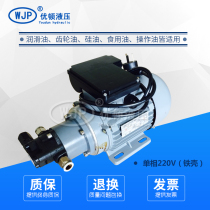 Electric small flow high viscosity pump Gear oil pump Oil pump Diesel pump Fuel dispenser Cooling oil pump