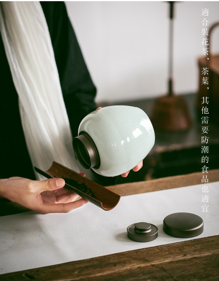 The Self - "appropriate content seal pot in Japanese ceramic tea pot of household saving POTS, POTS ceramic pot of tea warehouse storage