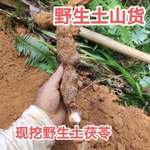 Wild Smilax hard rice head white meat powdery deep mountain wild product the hometown of longevity in Guangxi
