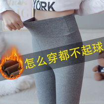 Gush bottom pants woman external wearing autumn winter thickened pure cotton high elastic pants 2021 new display slim outside wearing long pants