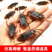 Fake cockroach toy emulates whole demagoguery and props small bugs for scathing and scary pranks plastic beetles whole people.