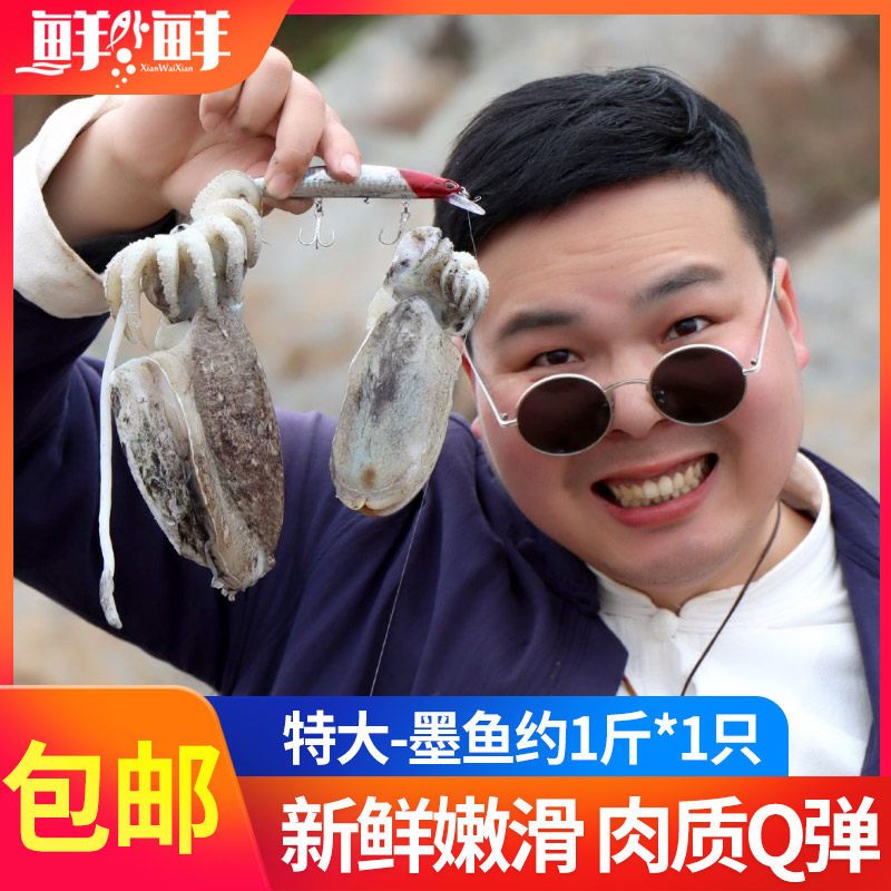 Zhoushan fresh big cuttlefish Squid sea hare frozen cuttlefish seafood cuttlefish 500g
