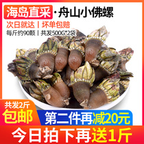 Fresh little bergamot fresh dog claw snail live turtle feet small chicken claw Snail Island Shellfish conch Zhoushan seafood aquatic products