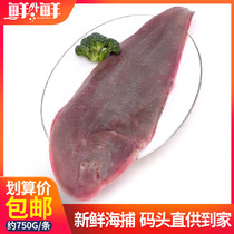 Zhoushan fresh big dragon tongue about 700g fresh dragon fish sea catch tongue fish seafood non-salmon