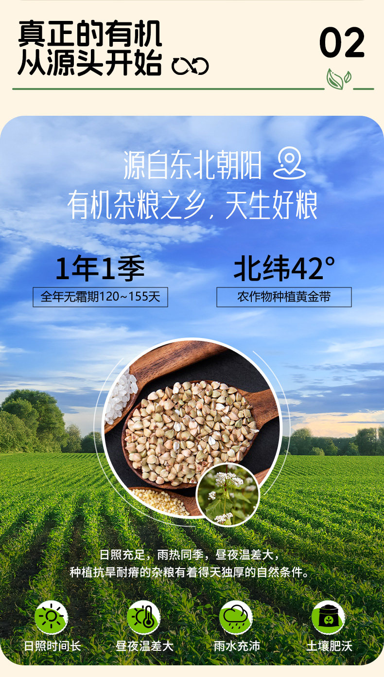 安享好物 安享S级荞麦面粉-豫娃娃有机荞麦粉 企标 