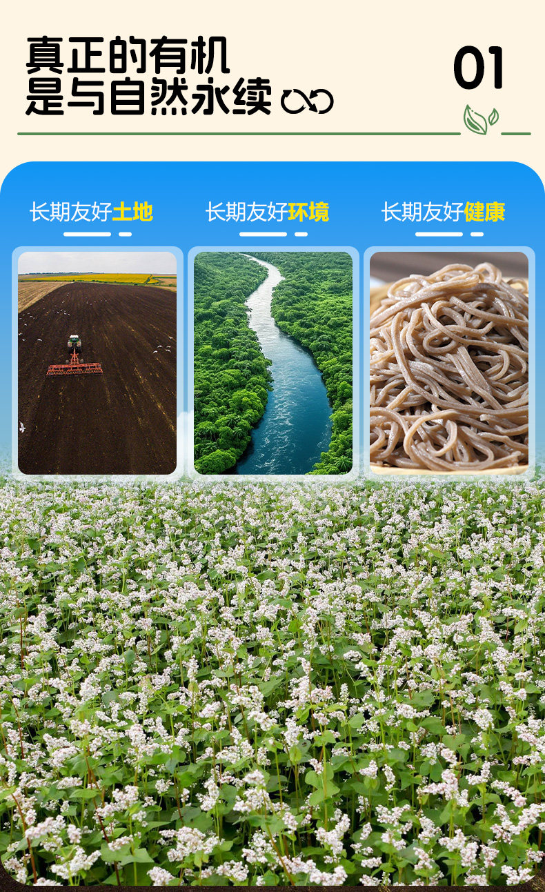 安享好物 安享S级荞麦面粉-豫娃娃有机荞麦粉 企标 