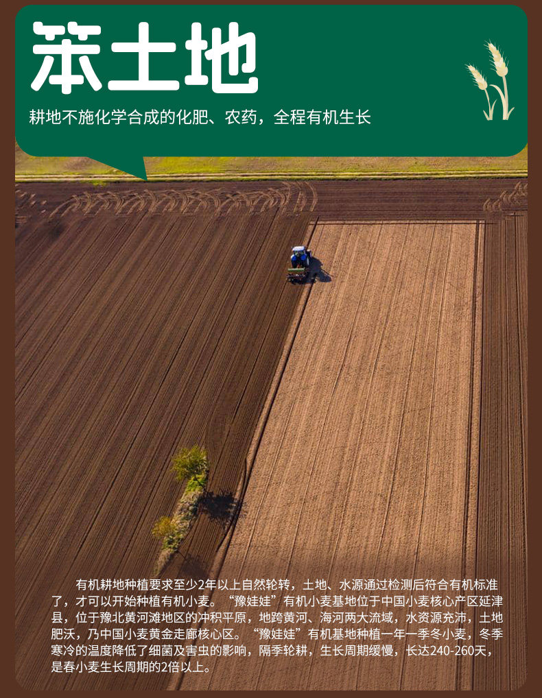 安享好物 安享A级小麦面粉-豫娃娃有机黑全麦粉 企标 