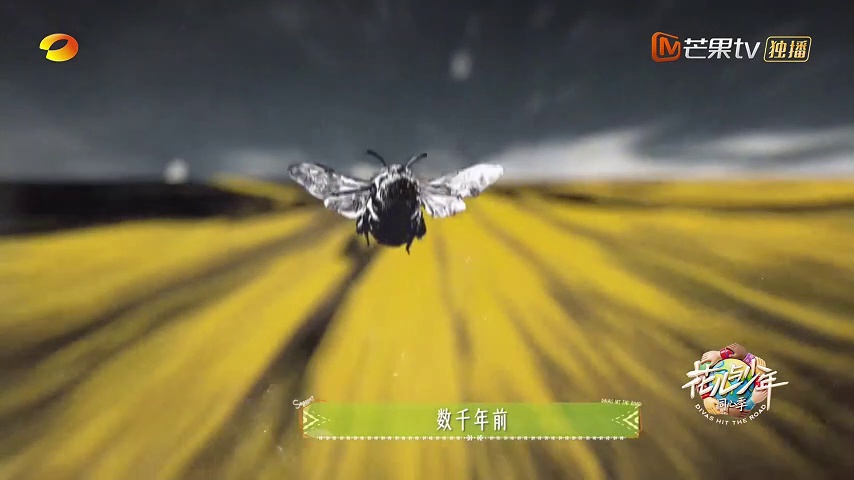 整个部部屏追《再见爱人5》不卡不跳？此季卡我直接锁死。