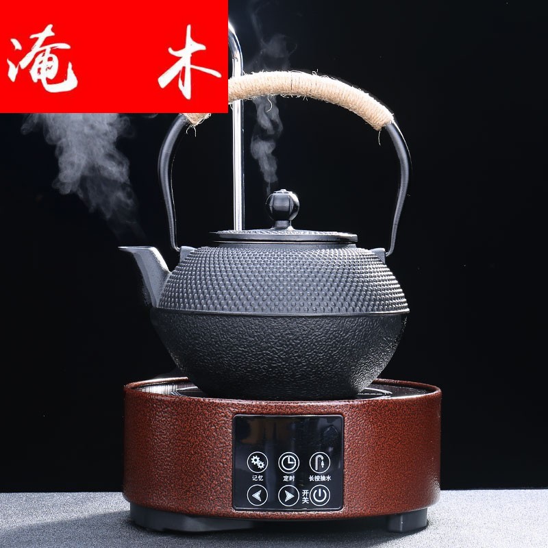 Submerged wood pumping electric TaoLu cast iron tea pot boiled water suit imitation Japan iron tea kettle boil water