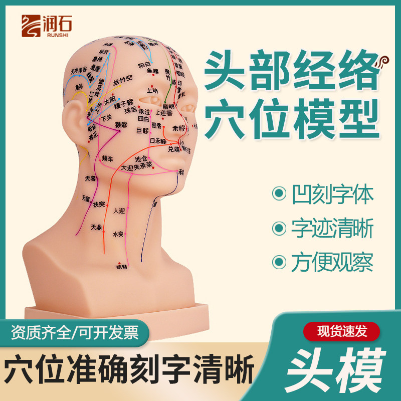 头部穴位模型教学镊子头模面部全脸按摩假头刻字高清刻字人体经络