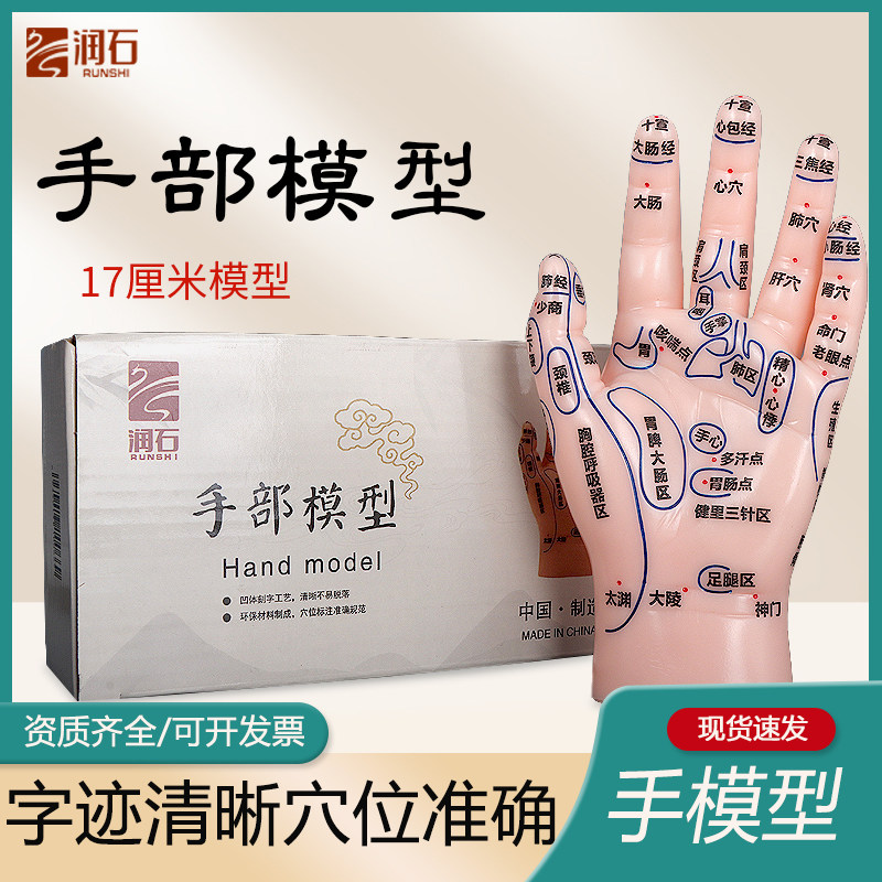 手部模型反射区穴位按摩小儿推拿中医人体部位图清晰刻字经络模具