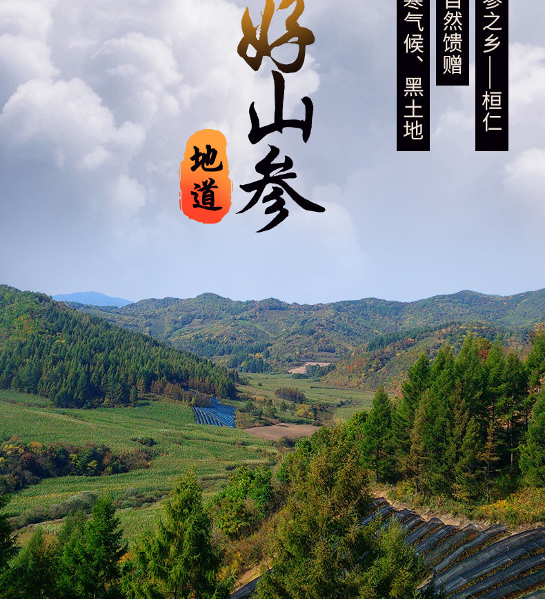 Подробная информация о маленькой подарочной коробке с Ginseng