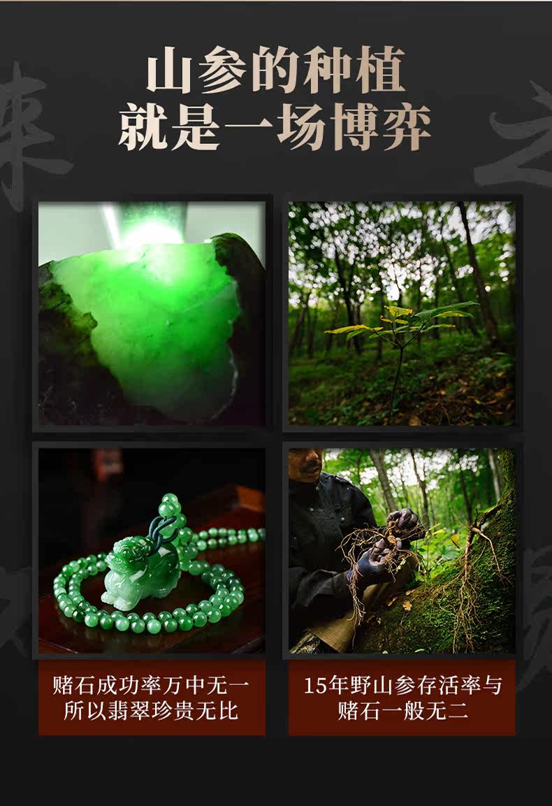 Детали лесного ginseng_03.jpg