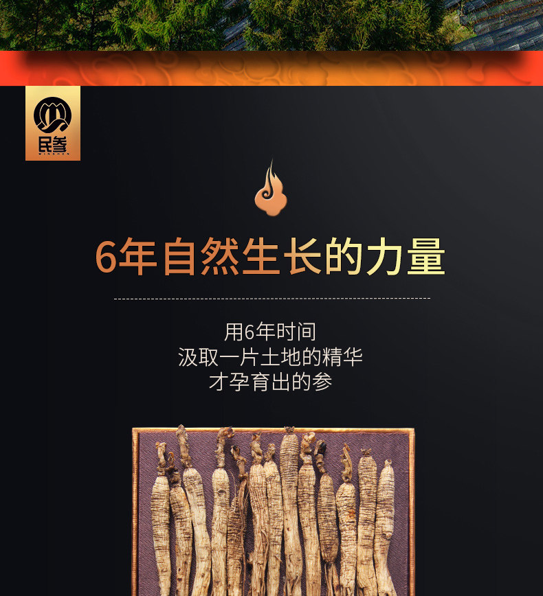 Детали Tmall Shan Ginseng Small Gift Box_08.jpg